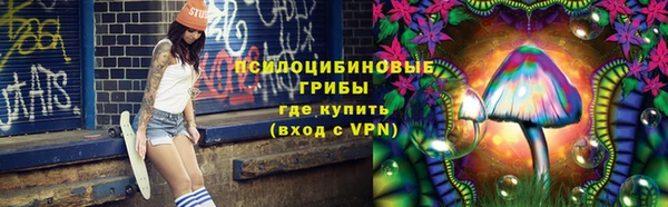 соль ск Зерноград