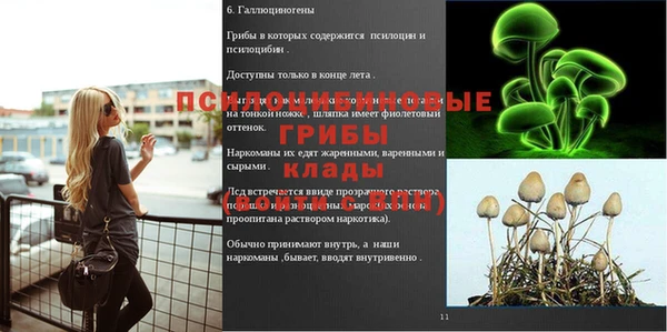 синтетический гашиш Армянск