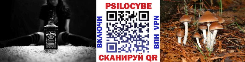 Галлюциногенные грибы ЛСД  купить   Мензелинск 